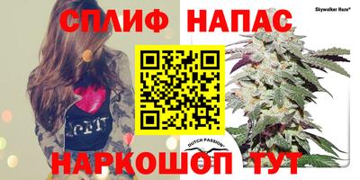 спиды Усть-Джегута