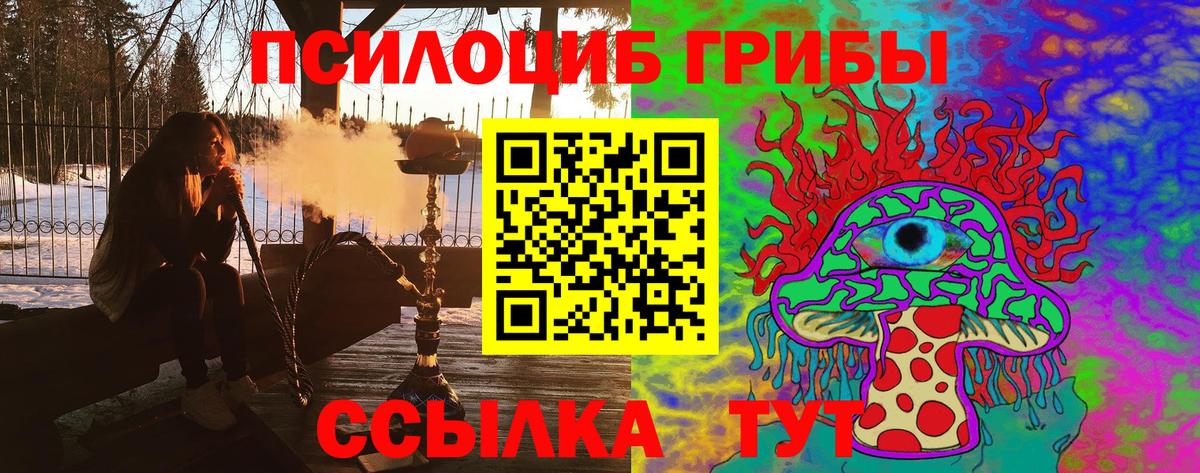 Псилоцибиновые грибы Psilocybine cubensis  Псилоцибиновые грибы прущие грибы  Зима  Вход с VPN 