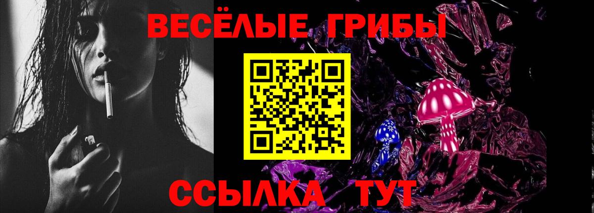 Псилоцибиновые грибы MAGIC MUSHROOMS Зима